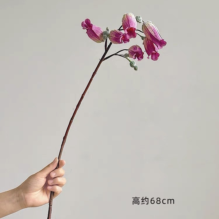보라색