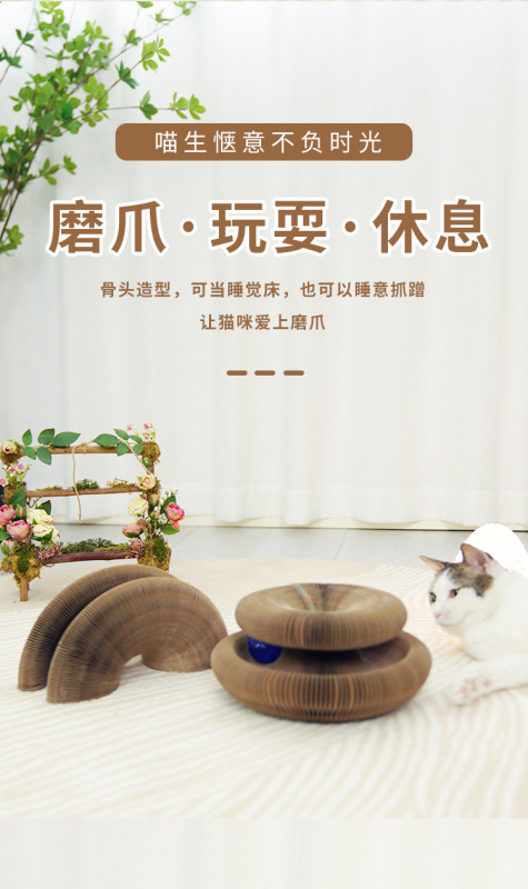 https://www.toonies.cn詳情頁_02.jpg_800x800.jpg