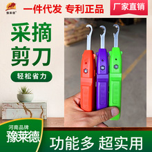 �S��ֱ�N������ժ�����r��ժ������ժ�������Ѳ�ժ����ժ��������