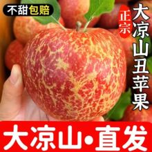 云南昭通丑苹果10斤新鲜当季水果盐源红富士冰糖心新鲜当季甜包邮