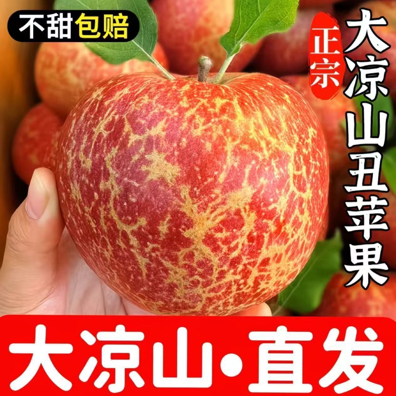 云南昭通丑苹果10斤新鲜当季水果盐源红富士冰糖心新鲜当季甜包邮