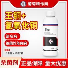 �����~ 34%�������~���~�S�ϼ����Խǰ߲����٘��rș������