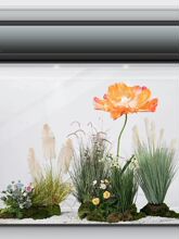 ֲ���쾰�҃ȷ����JȔ¶�I�L�Gֲ�b͏d�����Ꭷֲ��ٲݶ��¿�