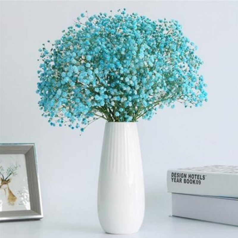 Yunnan lleno de flores secas, no olvides mi decoración de la casa, flores frescas, flores verdaderas, flores secas y verdaderas