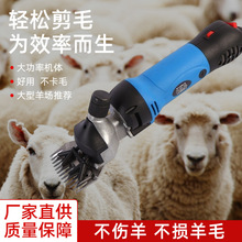 ��ë���ӵ����6�����ٵ綯����ë���綯���Ӵ��ʵ綯��ë����