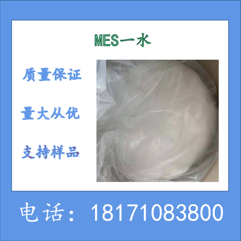 4-吗啉乙磺酸 MES一水 含量99%以上 CAS：4432-31-9 现货供应