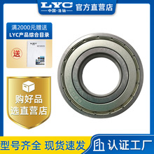 洛阳LYC深沟球轴承6204-2z静音滑动磨机组件 非标