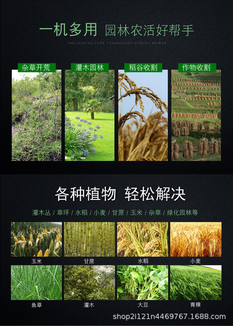 详情图片_3.jpg