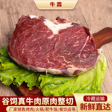 牛霖肉 牛霖和尚頭瘦牛肉 新鮮冷凍牛后腿肉餐飲原切牛肉批發