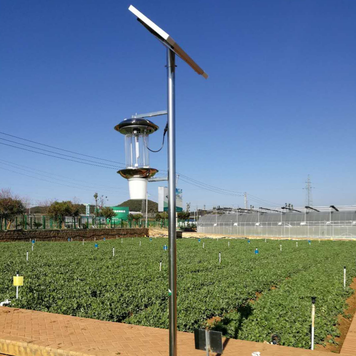 太阳能杀虫灯004