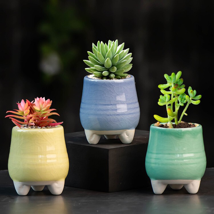 Cute succulent plant Ge kiln ice cracking basin round mouth personality stoneware breathable home indoor desktop decoration