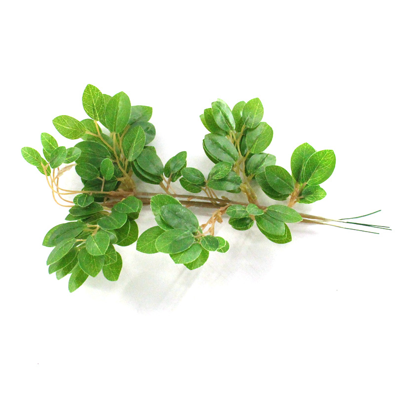 XRB-254 檵木叶单枝33叶0 (5).jpg