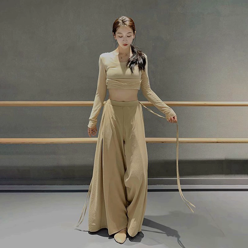 Одежда для занятий современным танцем, танцевальные брюки, свободные и элегантные прямые широкие брюки, брюки для занятий китайским классическим танцем, одежда для выступлений.