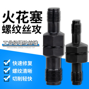 �������ݼy�ޏ͹��߻����z�������������z�F�z���������_����
