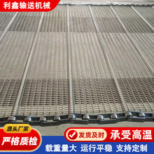 304不锈钢网带果蔬清洗杀菌设备输送链网耐高温链条式网链传送带
