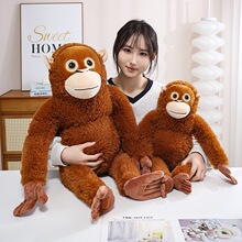 �����ɺ��ӹ��мt�����ȶ���˹�����ë�q��߲�ˇ��ż����