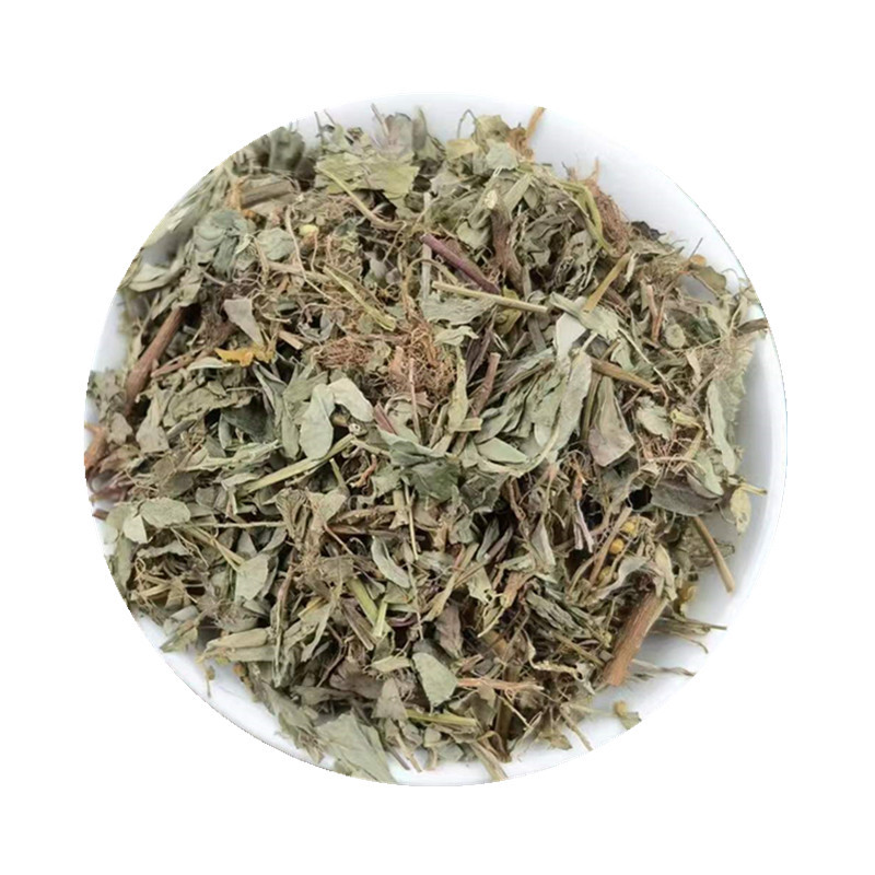 Dried Phyllanthus Urinaria Herb Ye Xia Zhu 500g Whole Plant Traditional Herbal Tea Ingredient in use