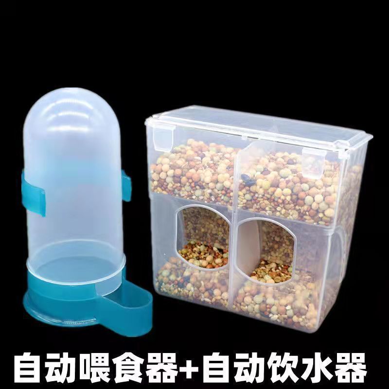 ハト用品、蓋付きこぼれ防止餌箱、鶏の餌と水飲み場、自動餌漏れフィーダー|undefined
