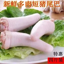 新鲜冷冻猪尾巴短尾巴短尾巴整根农家散养土猪肉带皮处理干净发货