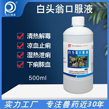 兽用药白头翁口服液肠炎腹泻清热解毒凉血止痢猪鸡猫畜禽宠物孕畜
