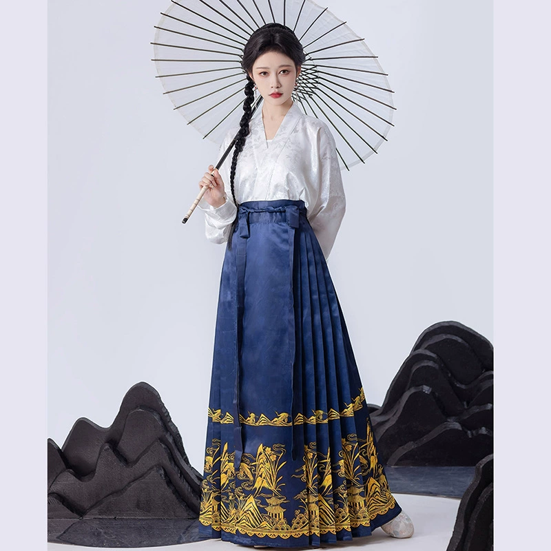 Новая юбка с конским лицом в китайском стиле 2023 Новый стиль Ming Hanfu Женская юбка с конским лицом Костюм Национальный стиль Ретро юбка Hanfu