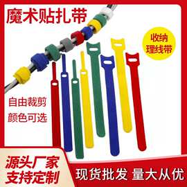 T型猫头魔术贴背胶扎带多色数据线收纳松紧带ab面尼龙自粘捆绑带