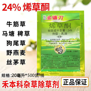 24%ϩ��ͪϡ���~ϩ�ݞ����������݄��R�ƽ�ݰ޲��rș���l