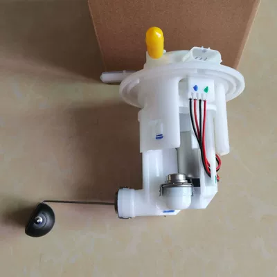 Filter, Gasoline Pump Assembly, Gasoline filter