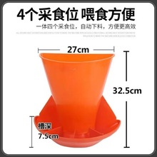 �i���Bֳ�O�� �a���ϲ� �a��С�i��� �������i��S��