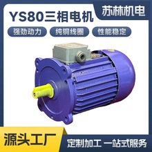 ���涨��YS80����늙C���տs�C����ĥ�{�C�L�Sѭ�h�L�C750W�L�S�