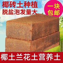 海南椰砖土通用型营养脱盐椰砖盆栽种植专用土壤种菜种花椰壳园艺