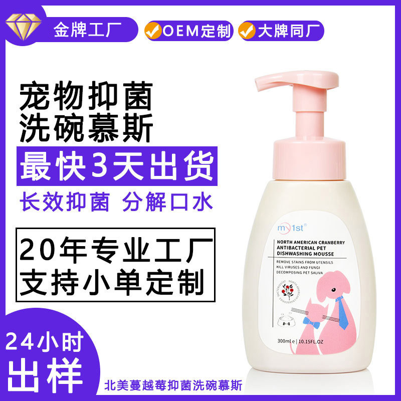 Antibacterial and degreasing dishwashing mousse