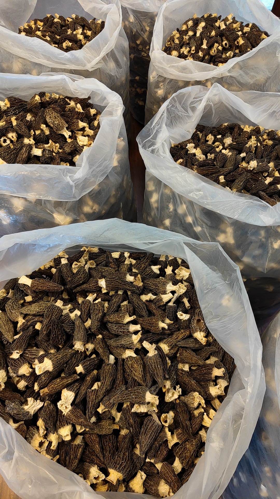 6196b70b362bf59be7685bd8b2231a