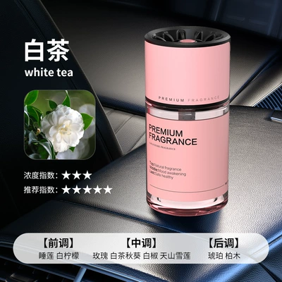 Car Aromatherapy Car Odor: Car Perfume Aromatherapy - elegant-white-tea