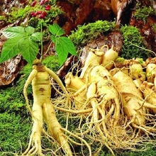 ˅NҰɽ˅ļ׷Nș׻҃^