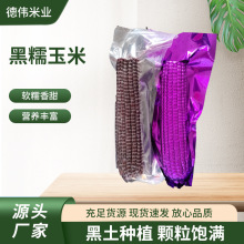 东北特产甜糯黑糯玉米苞米黑玉米260克早餐真空包装即食黏黑玉米