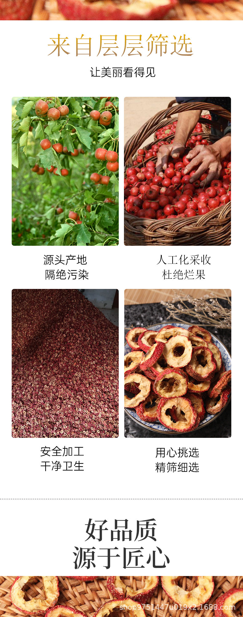 Hawthorn Slices Shan Zha Pitted Dried Hawthorn Rings 500g for Sour Plum Soup and Herbal Tea quality and texture
