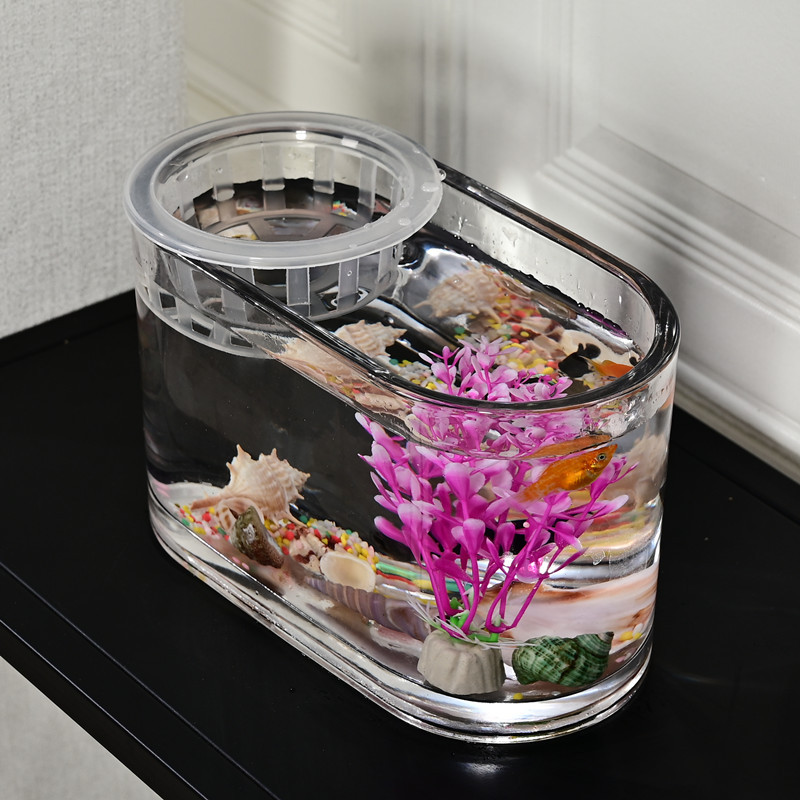 简约桌面透明玻璃鱼缸水培椭圆形花盆水养植物容器创意透明鱼缸