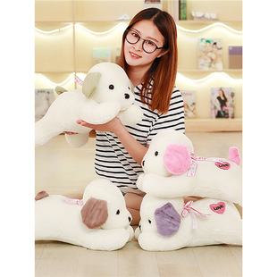 �ɐۿ�ͨſſ��ë�q���й���܇�d��ߴ��^����ż��ͯ���նY��Ů��