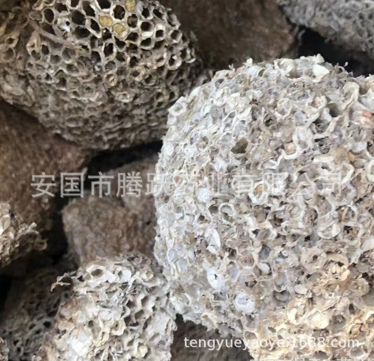 Feng Fang Dried Hornet Nest Whole Beehive Fengfang Traditional Chinese Herb 500g overview