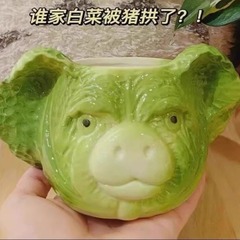 奇妙なアイデア白菜豚杯マグカップ誕生日プレゼント男子大容量コップ醜いものがコップをいじっている