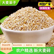 盐城特产新鲜大麦采子大麦糁苏北特产大麦采子五谷杂粮煮粥采子