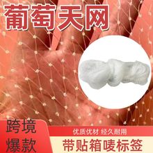 ���l�������ѷ��B�W���@���B�~���������q����������ķ������W