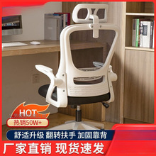 ��X�μ����k���ξW���������D�T늸����������w�W������