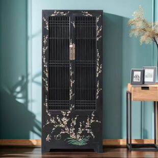 Chinese Style Solid Wood Storage Wardrobe Storage Cabinet Handmade Painted Antique Home Comb Cabinet Classical Decorative Cabinet Available in Stock