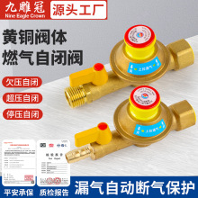 燃气自闭阀自动断气灶前阀纯铜家用热水器漏气保护全铜安全阀