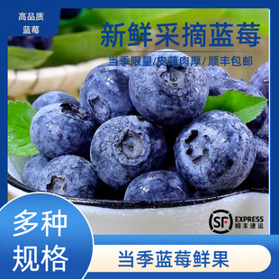 �{ݮl25���|�{ݮ��S���]������ժ���r��ժ�{ݮ���һ�����l����