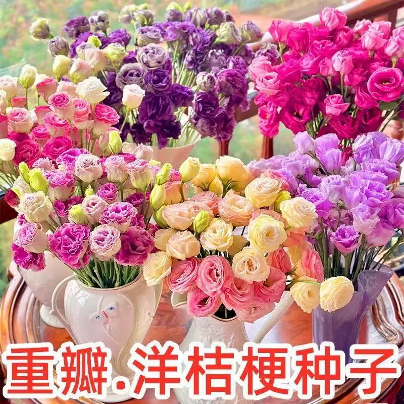 Четырехсезонное посев семян цветов лизиантуса, семена цветов с двойными цветками и легкими в выращивании, семена цветов для двора на открытом воздухе.