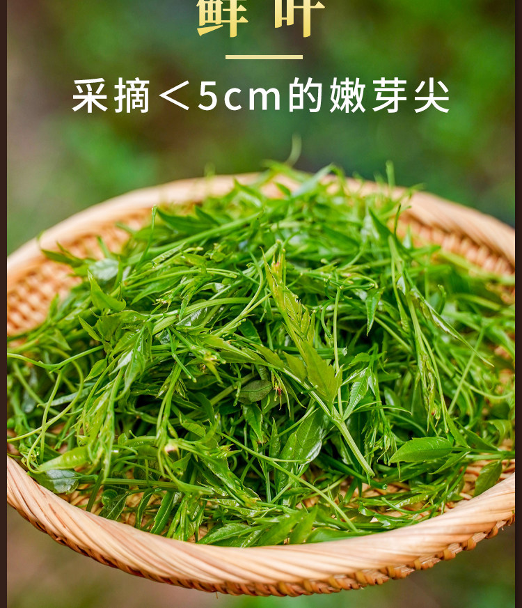 Wild Mei Tea Premium Bud Tip Vine Tea 500g Zhangjiajie Herbal Wellness Tea specifications