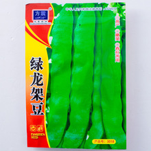 綠龍架豆種子 高產豆角種孑特長豇豆種籽扁莢芸豆四季豆